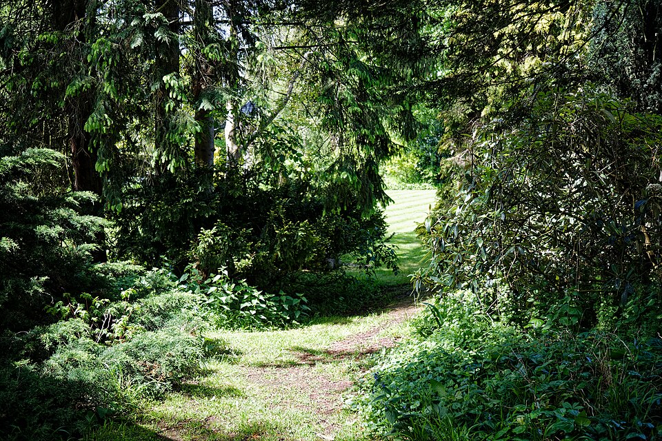 Landscape Installation