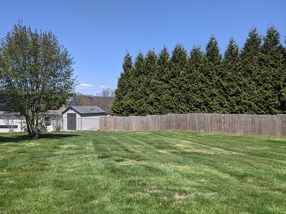 Irrigation Help
